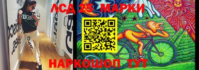 шишки Майкоп