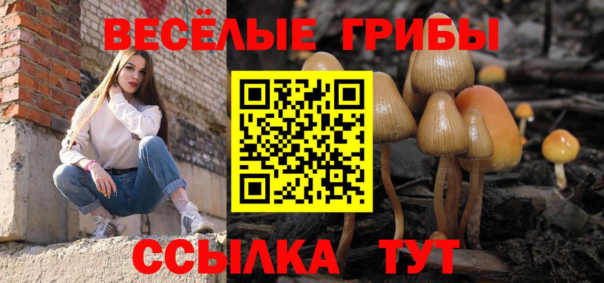 где можно купить   Вход с VPN  Городец  Псилоцибиновые грибы ЛСД 