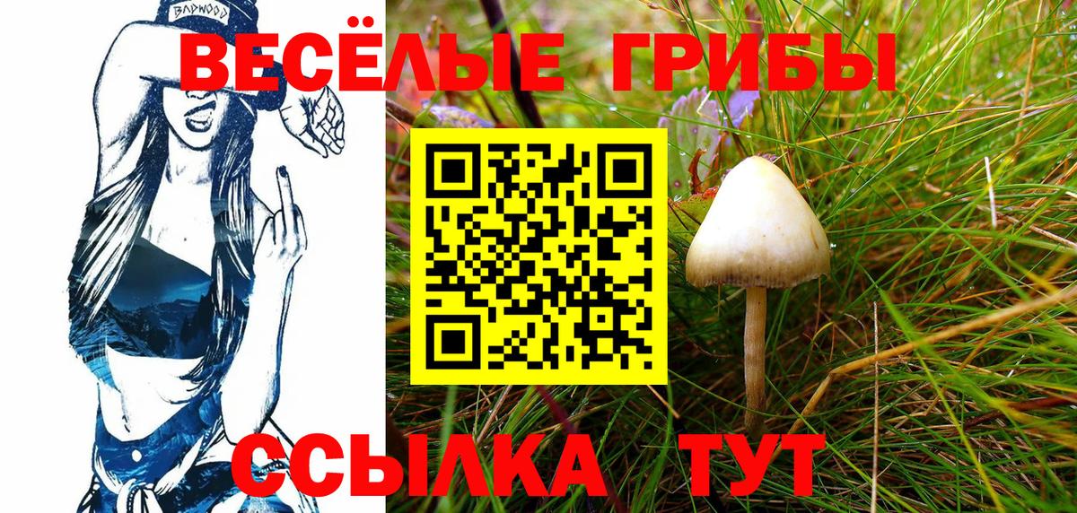 Псилоцибиновые грибы ЛСД Городец